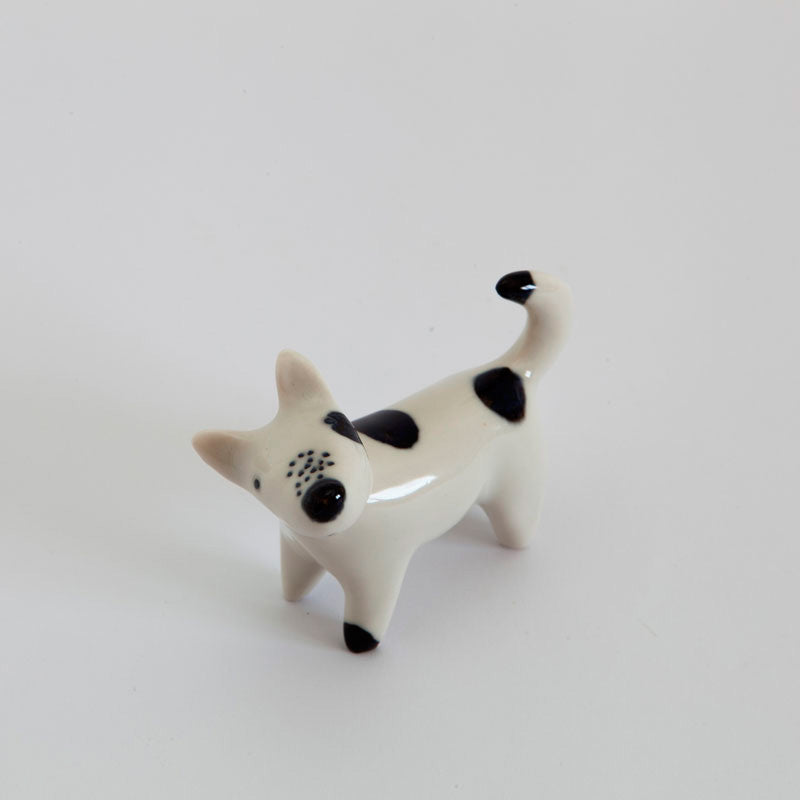 Petit chien Panchito