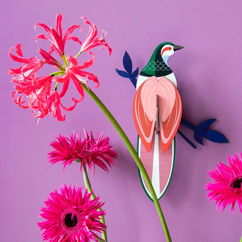 Paradise Bird - Rani