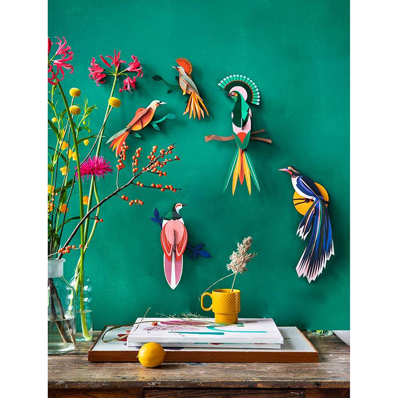 Paradise Bird - Rani