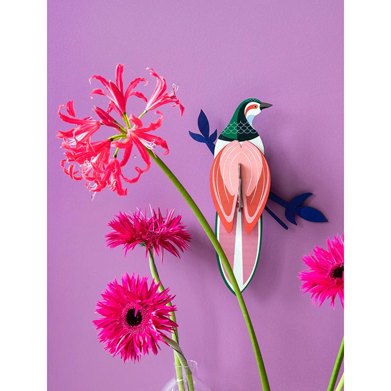 Paradise Bird - Rani