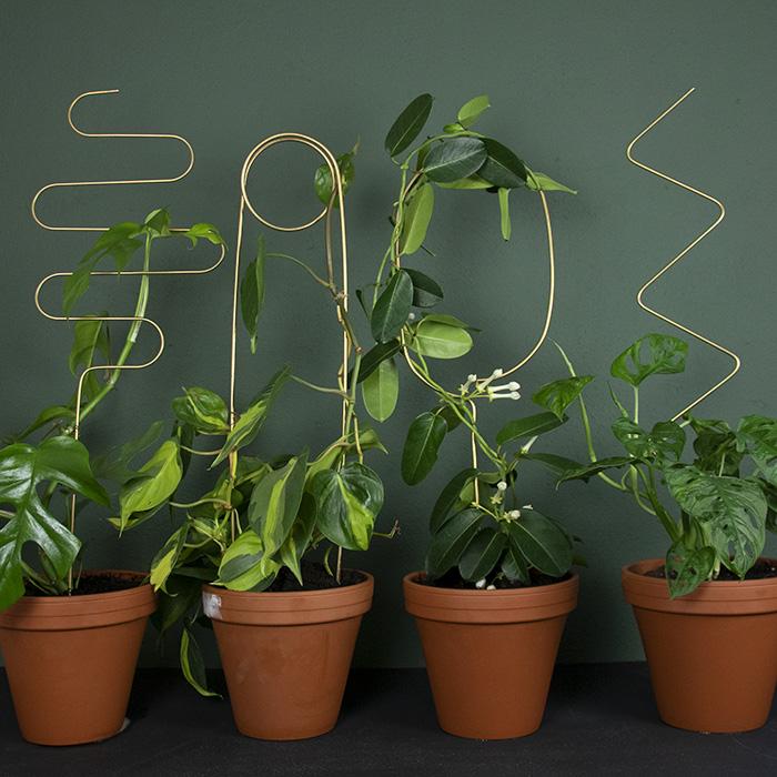 Tutor para Plantas Dorado ZigZag