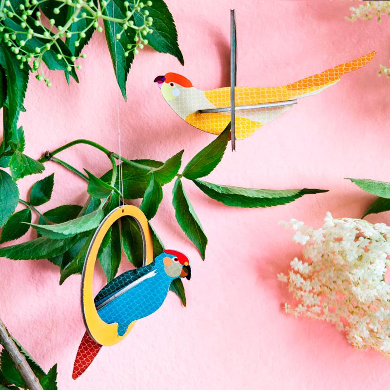 Pop out cards - Parakeets