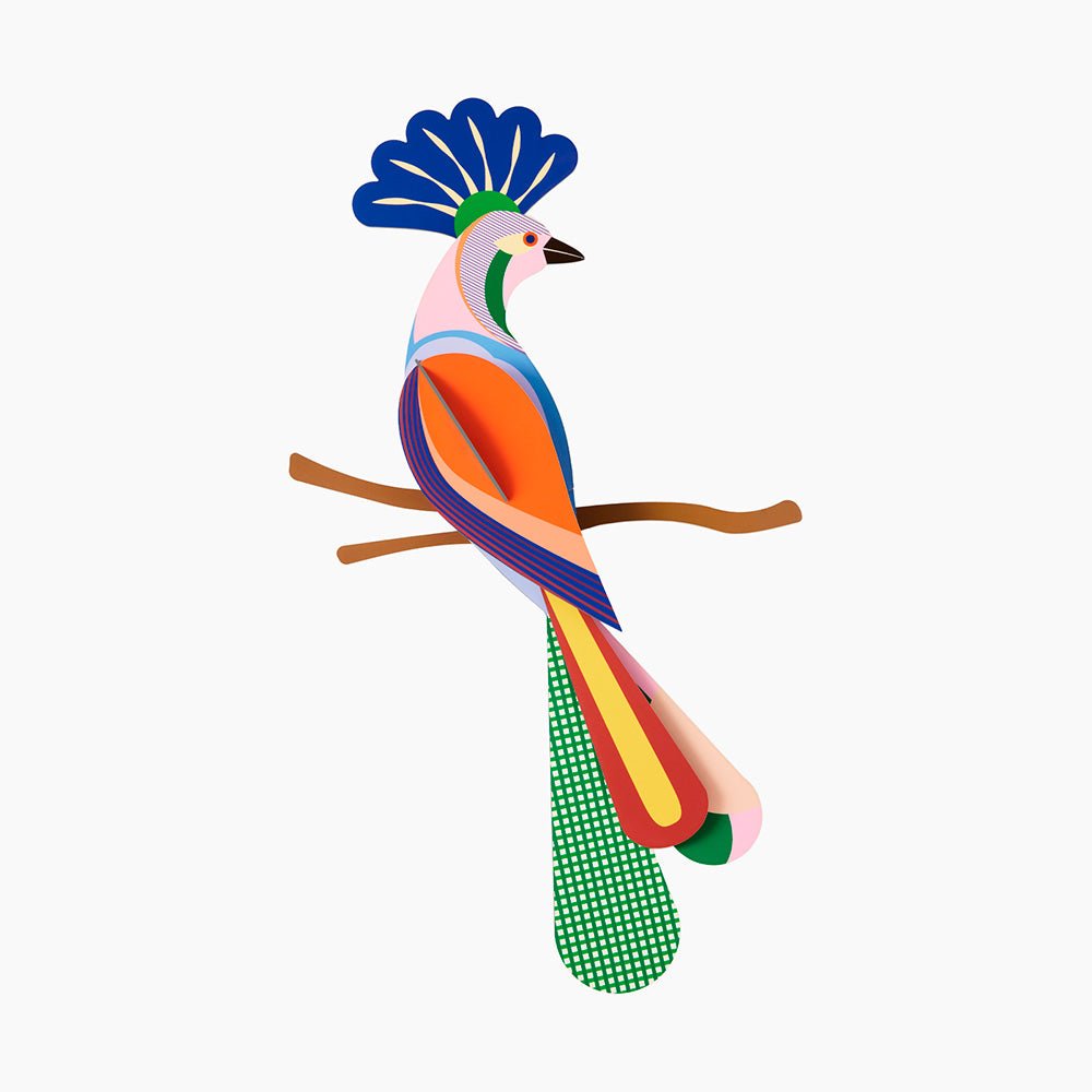 Paradise Bird - Tinjil