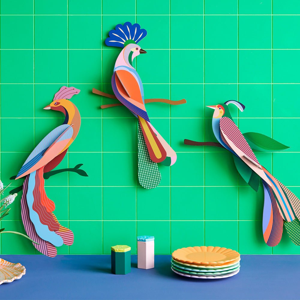 Paradise Bird - Tinjil