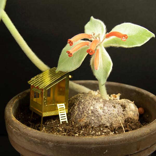 Petite cabane dans les arbres pour vos plantes