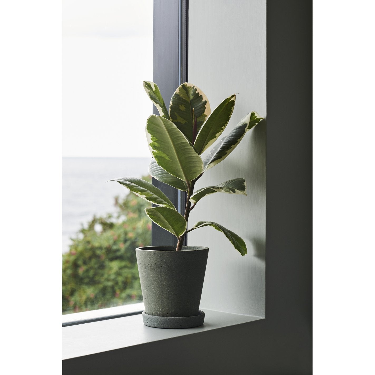Tiesto con Plato Flowerpot Gris M (14x13,5cm)
