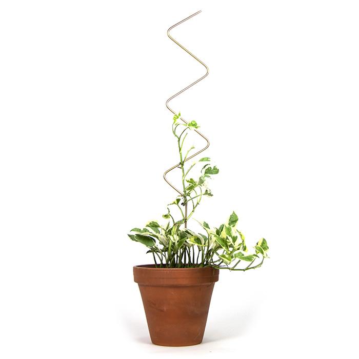 Tutor para Plantas Dorado ZigZag