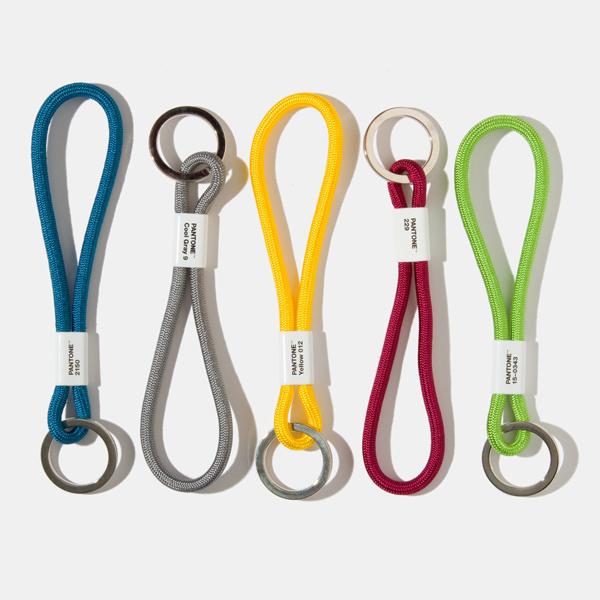 Porte-clés court Pantone Cool Gray 9