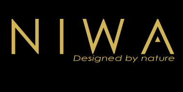 Niwa Design - El Moderno Concept Store
