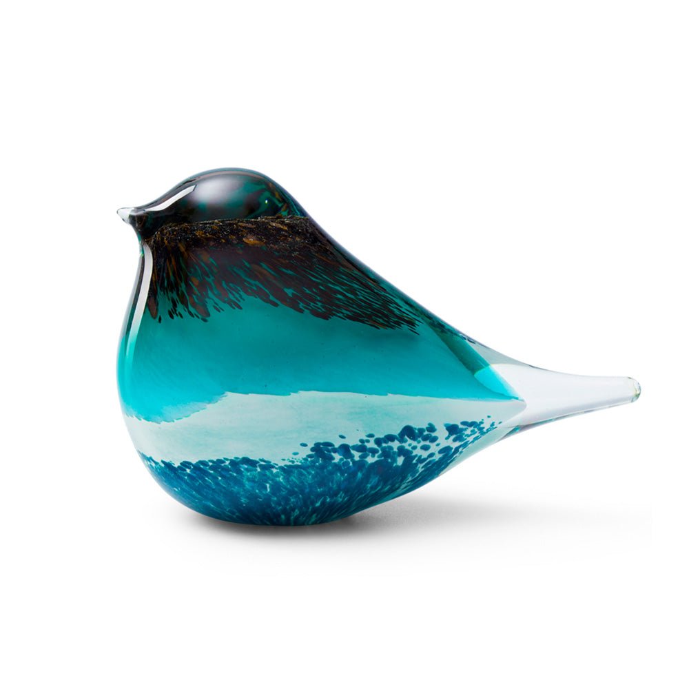 Glass Bird Atlas Black / Green