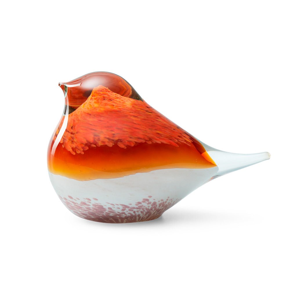 Glass Bird Atlas Orange / Pink