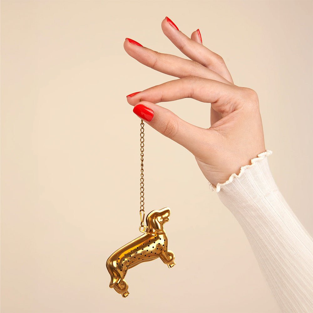 Infusor de Té Teckel