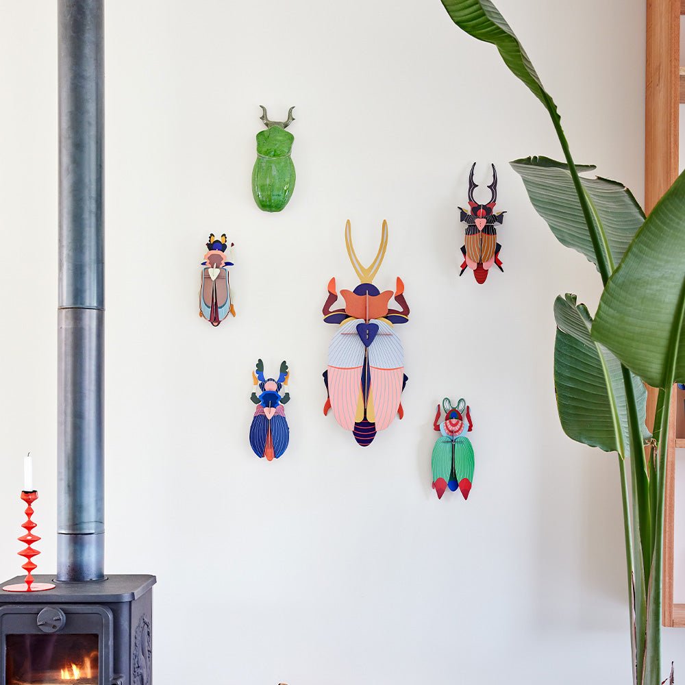 Deluxe - Rhinoceros Beetle