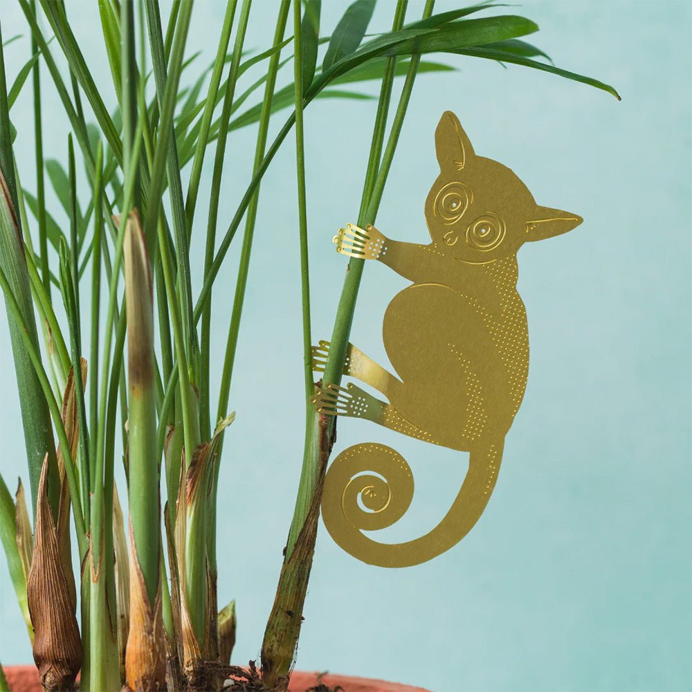 Animal para Plantas Galago Baby