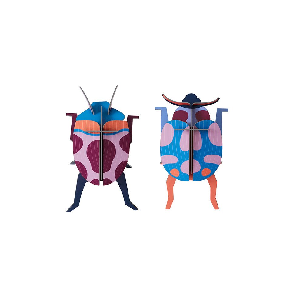 Couple Coccinelle