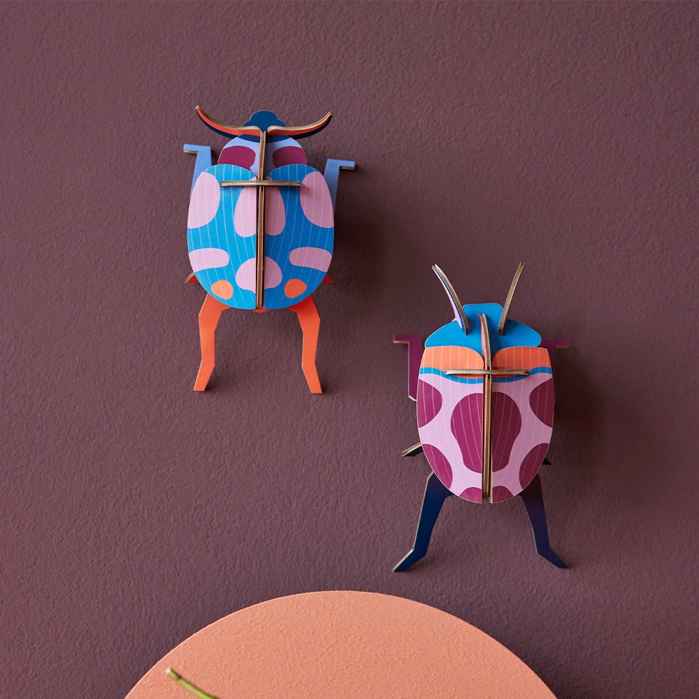 Couple Coccinelle