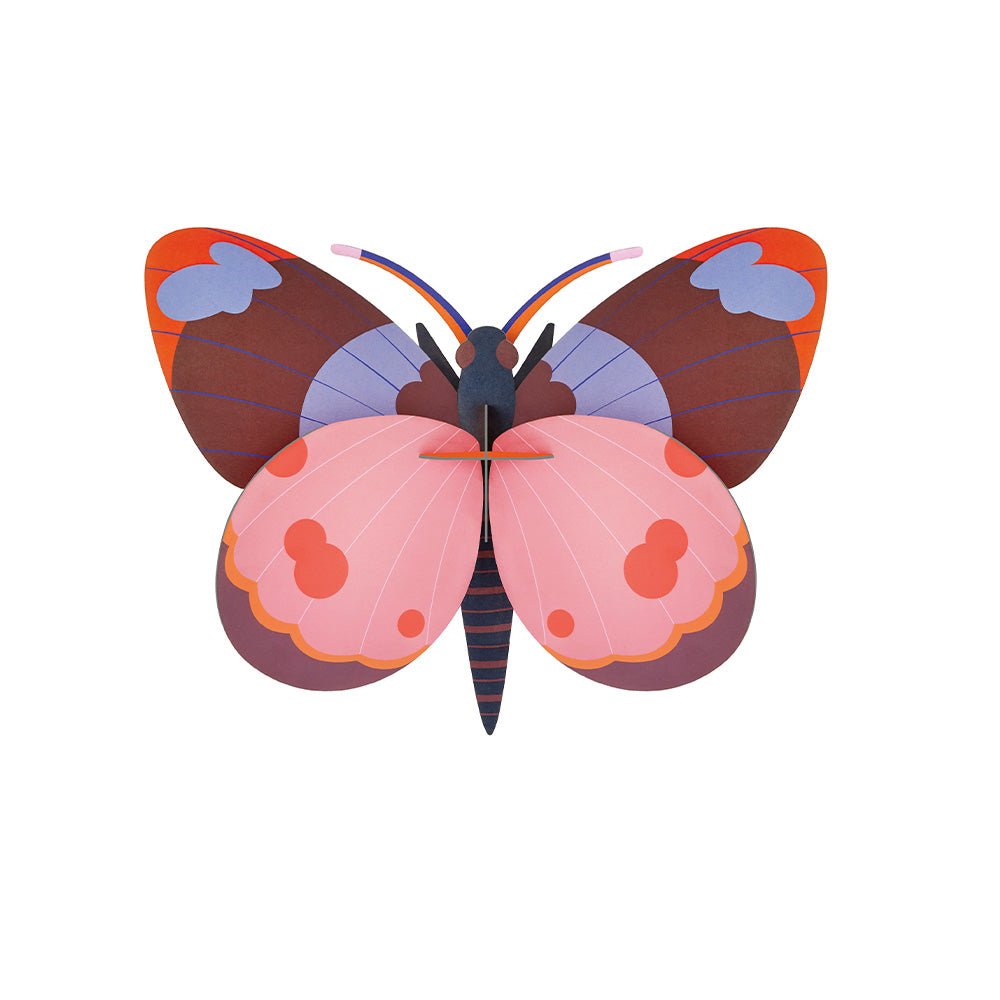 Bellissima - Butterfly