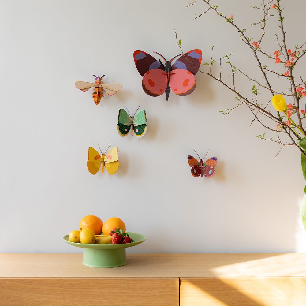 Bellissima - Butterfly