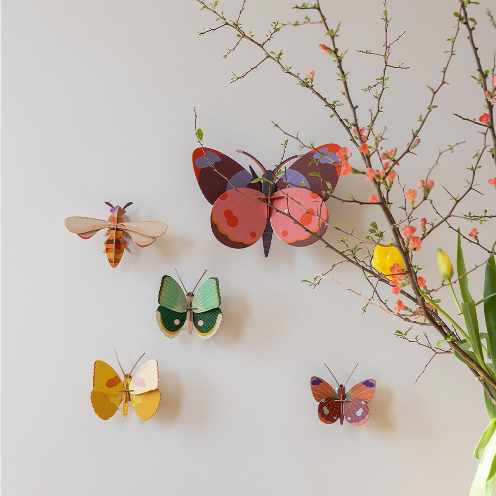 Bellissima - Butterfly