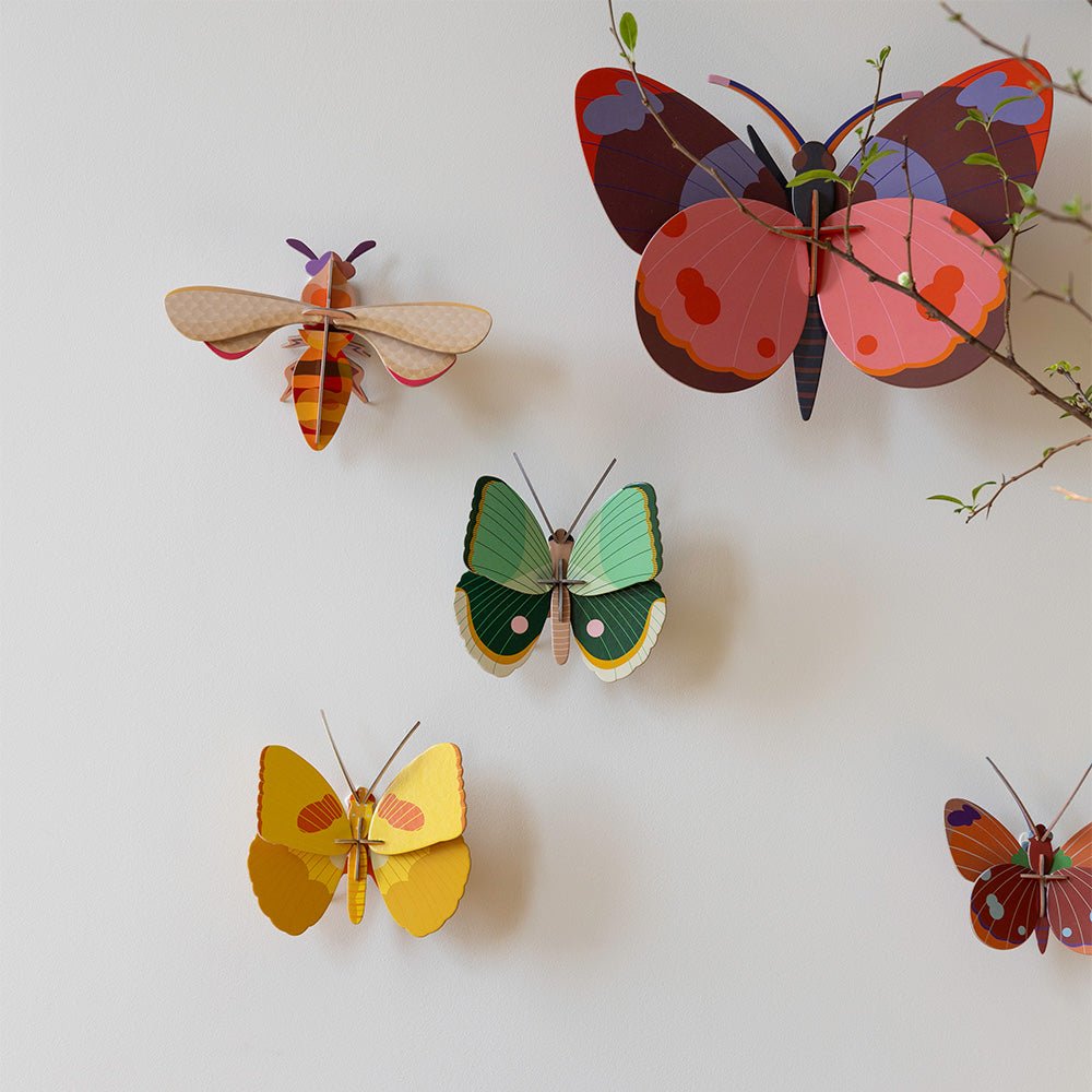 Bellissima - Butterfly