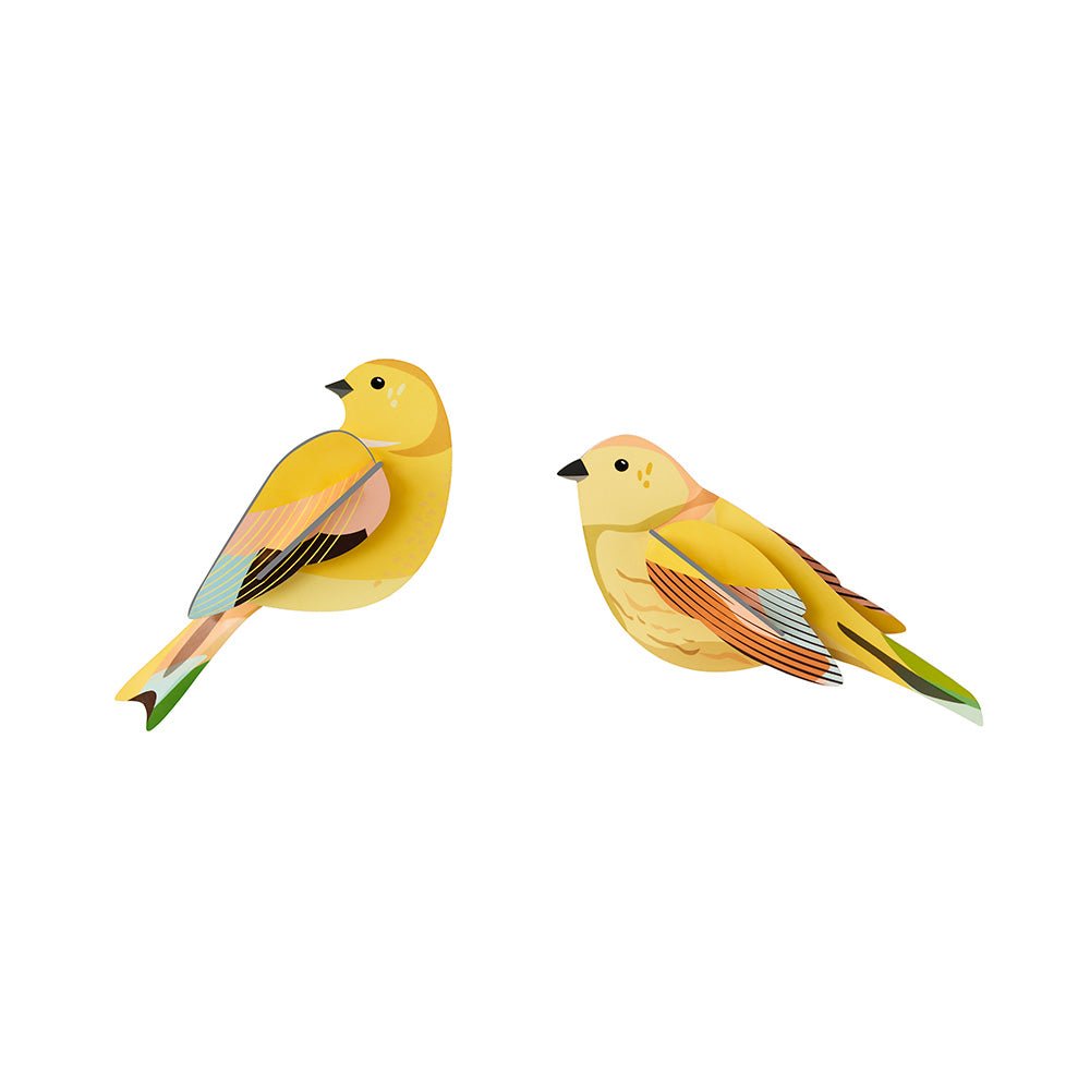 Oiseau de jardin - Couple de Citrinelles