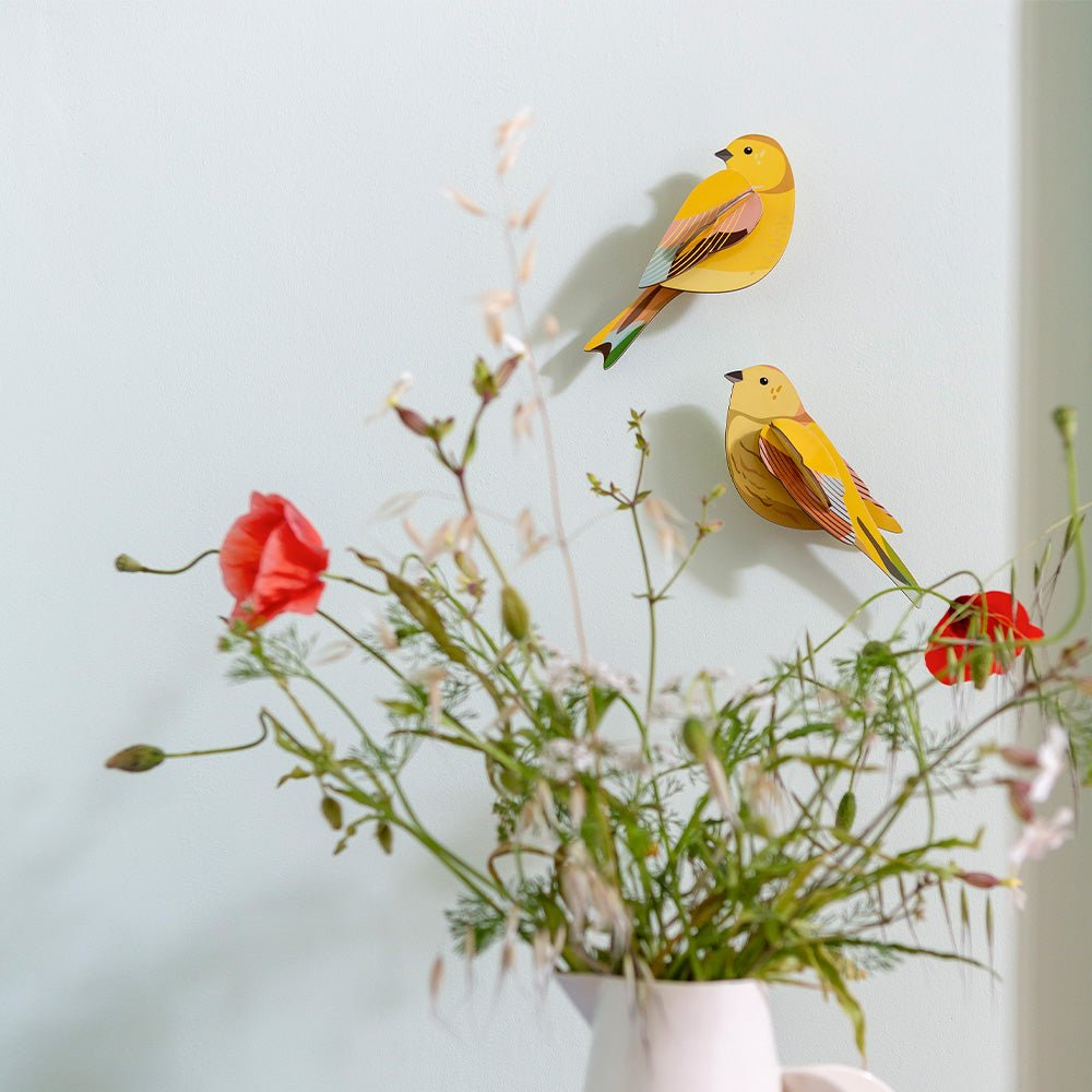 Oiseau de jardin - Couple de Citrinelles