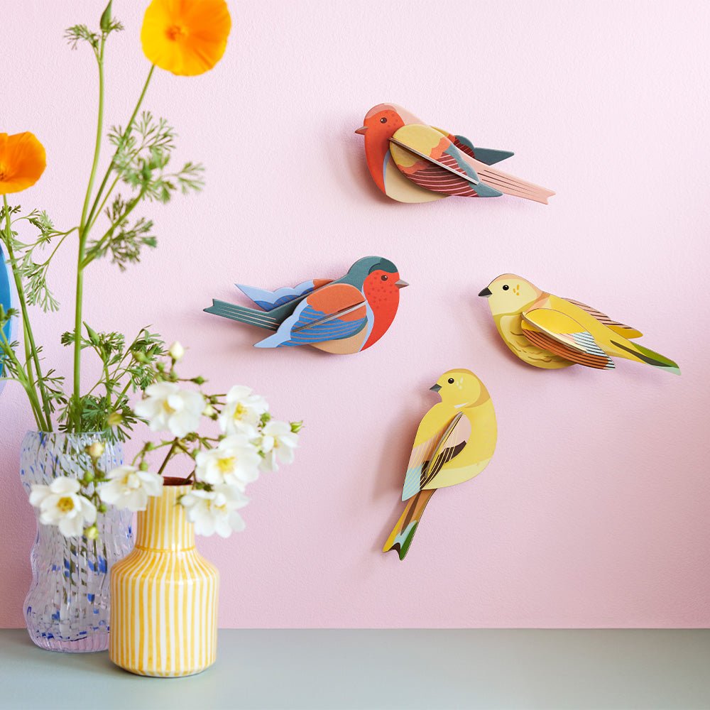 Oiseau de jardin - Couple de Citrinelles