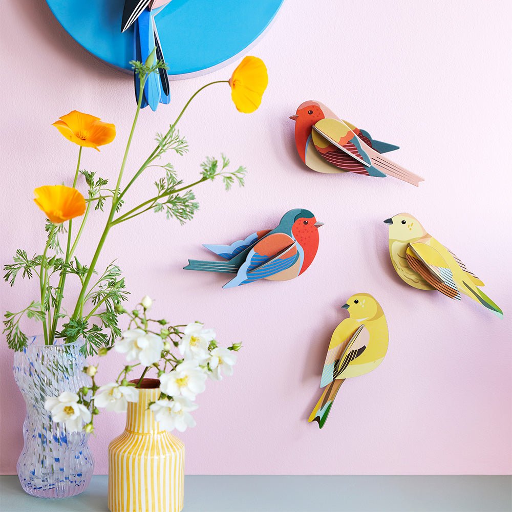 Oiseau de jardin - Couple de Citrinelles
