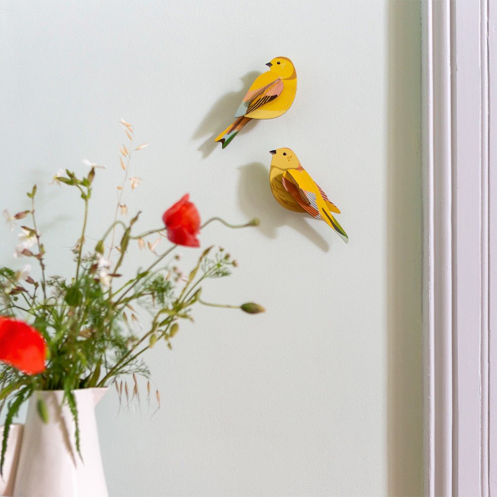 Oiseau de jardin - Couple de Citrinelles