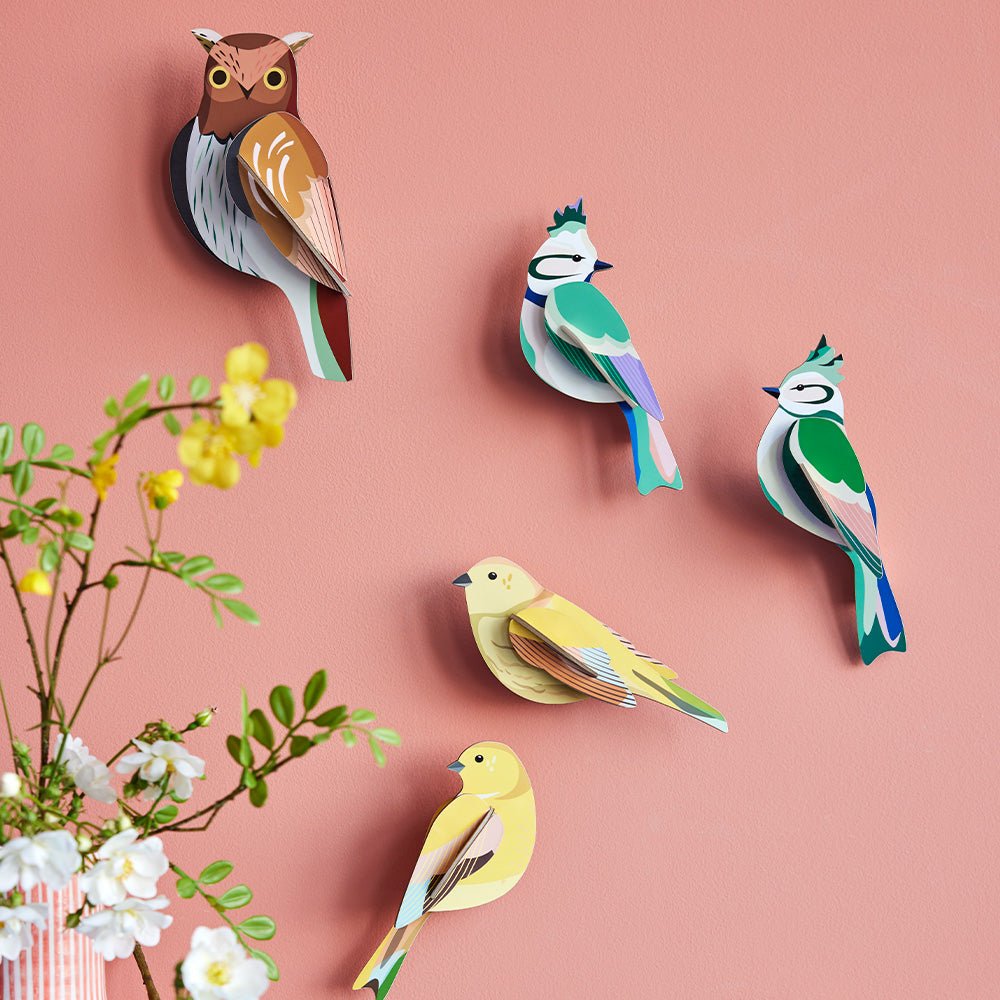 Oiseau de jardin - Couple de Citrinelles