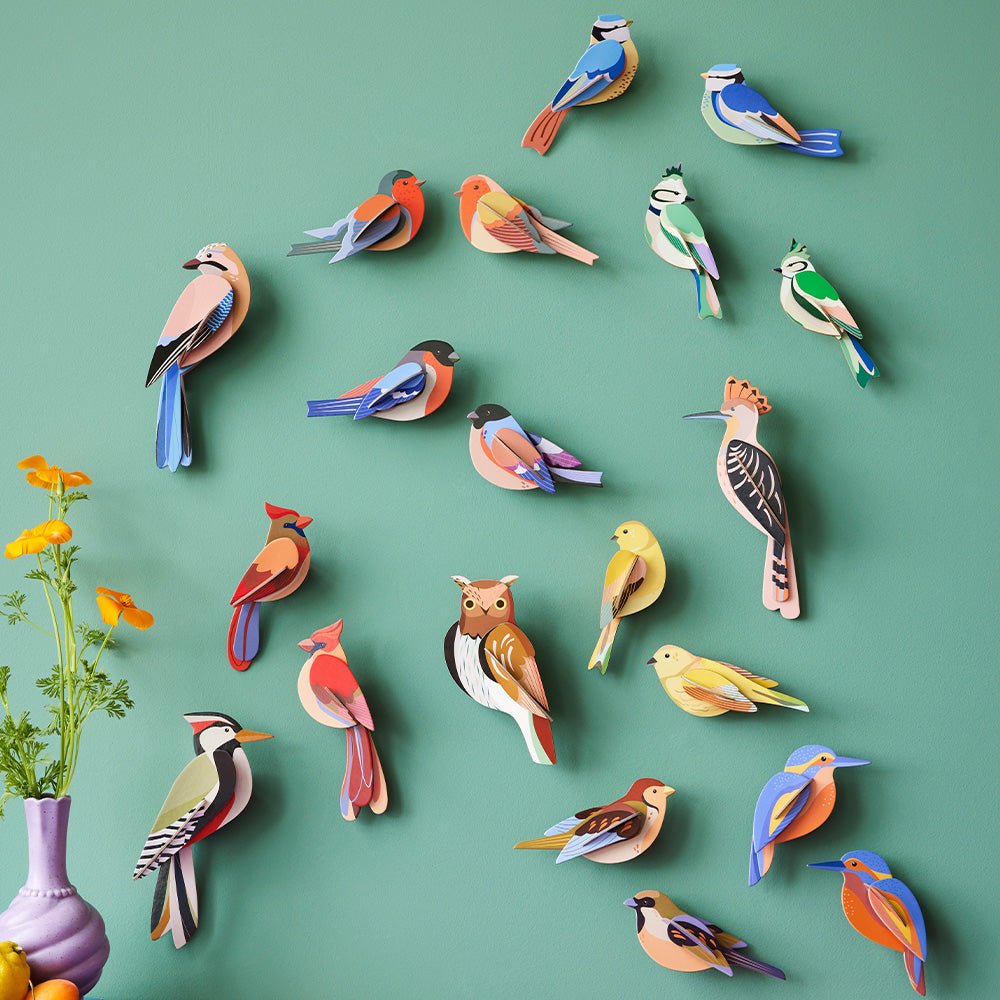 Oiseau de jardin - Couple de Citrinelles