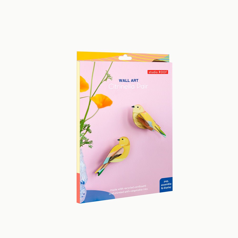 Oiseau de jardin - Couple de Citrinelles