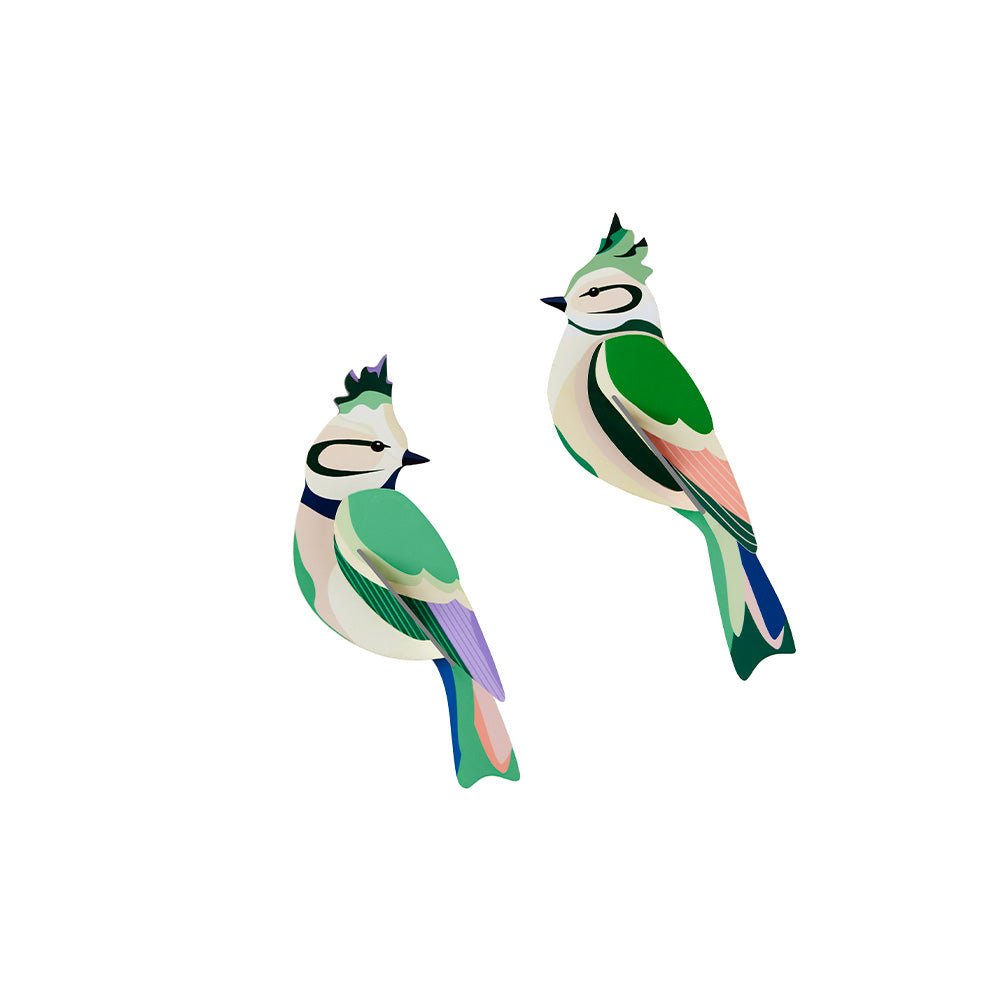 Oiseau de jardin - Crêtes forestières