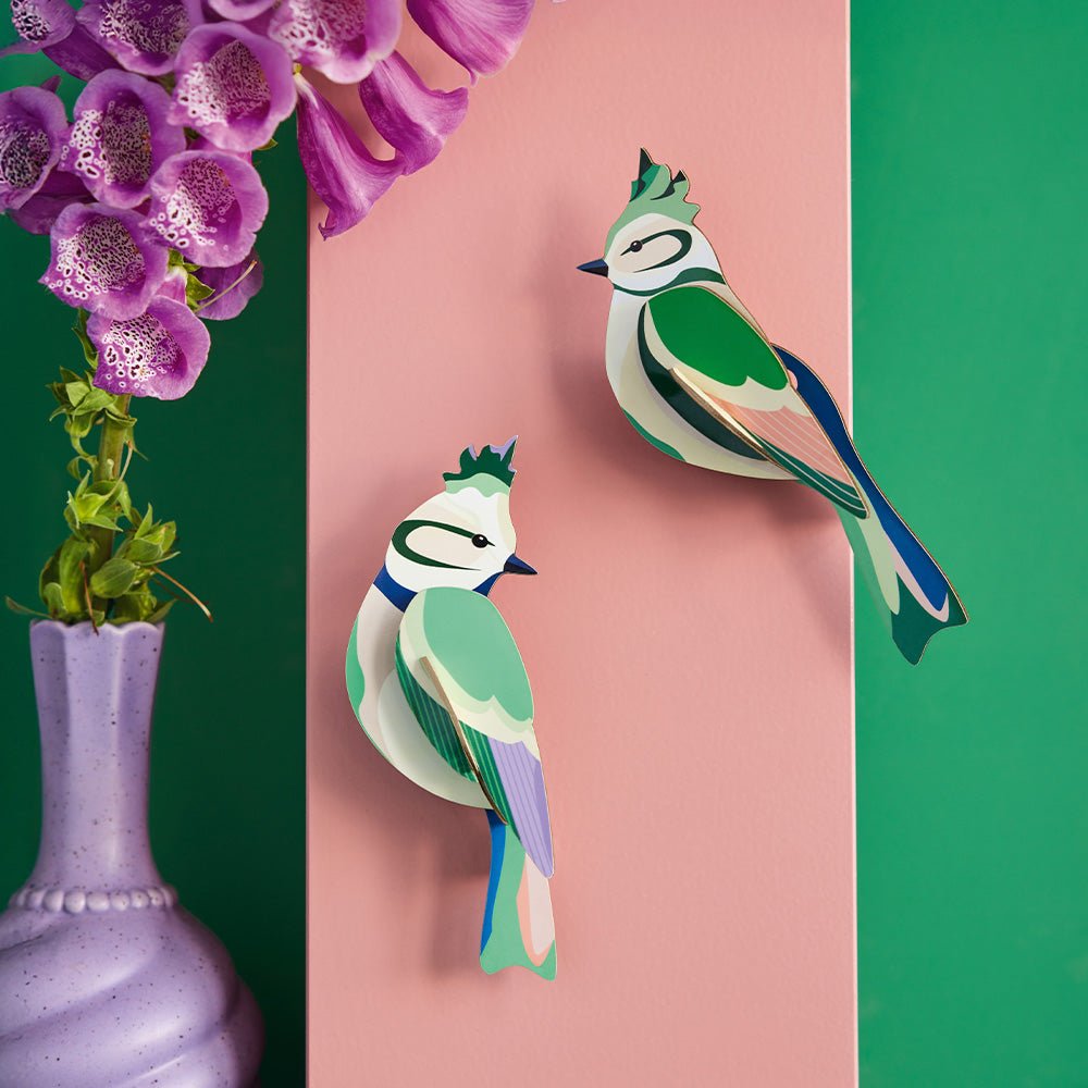 Oiseau de jardin - Crêtes forestières