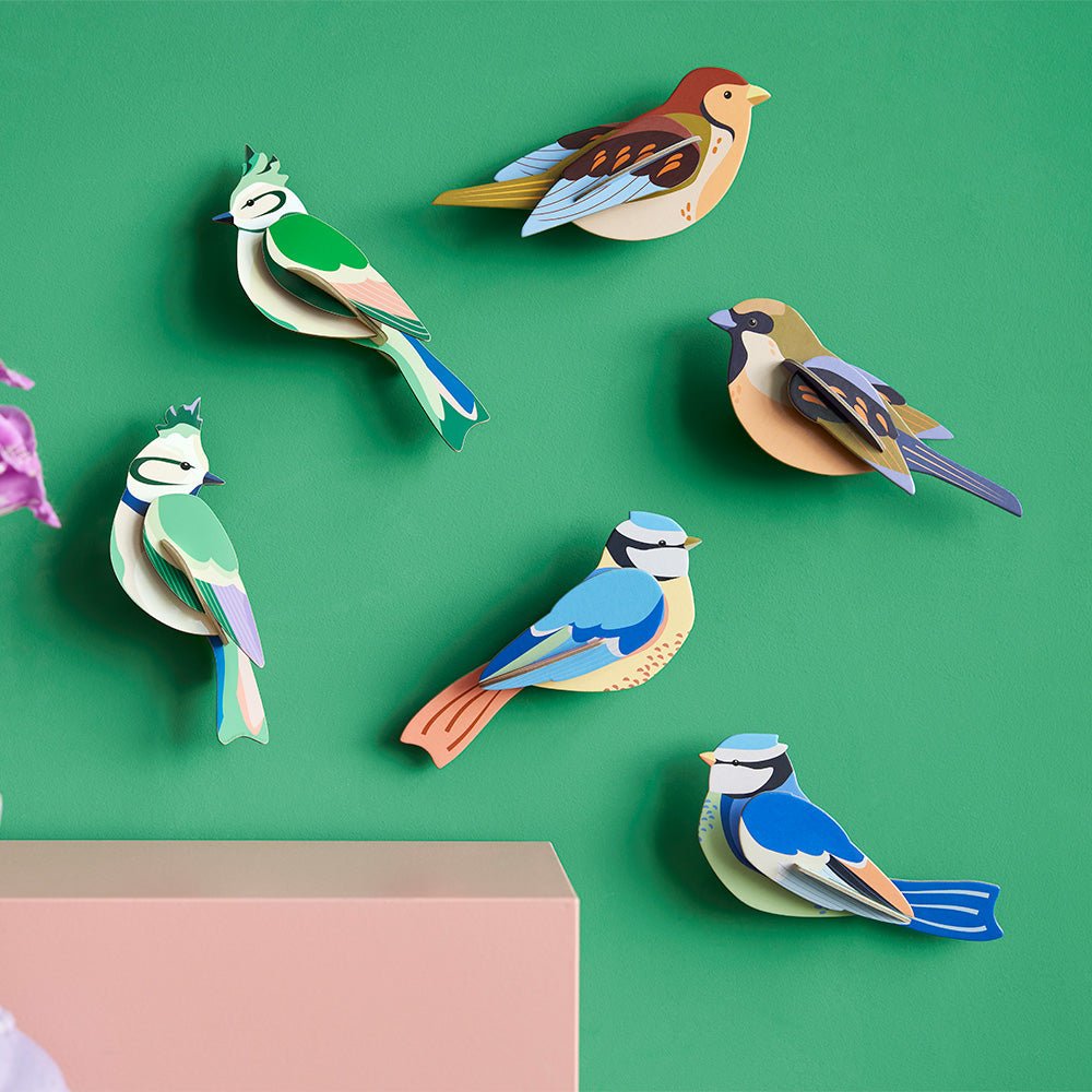 Oiseau de jardin - Crêtes forestières
