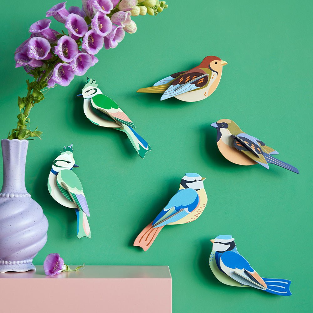Oiseau de jardin - Crêtes forestières