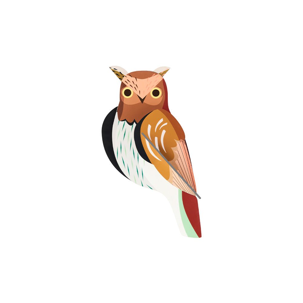 Garden Bird - Tawny Owl