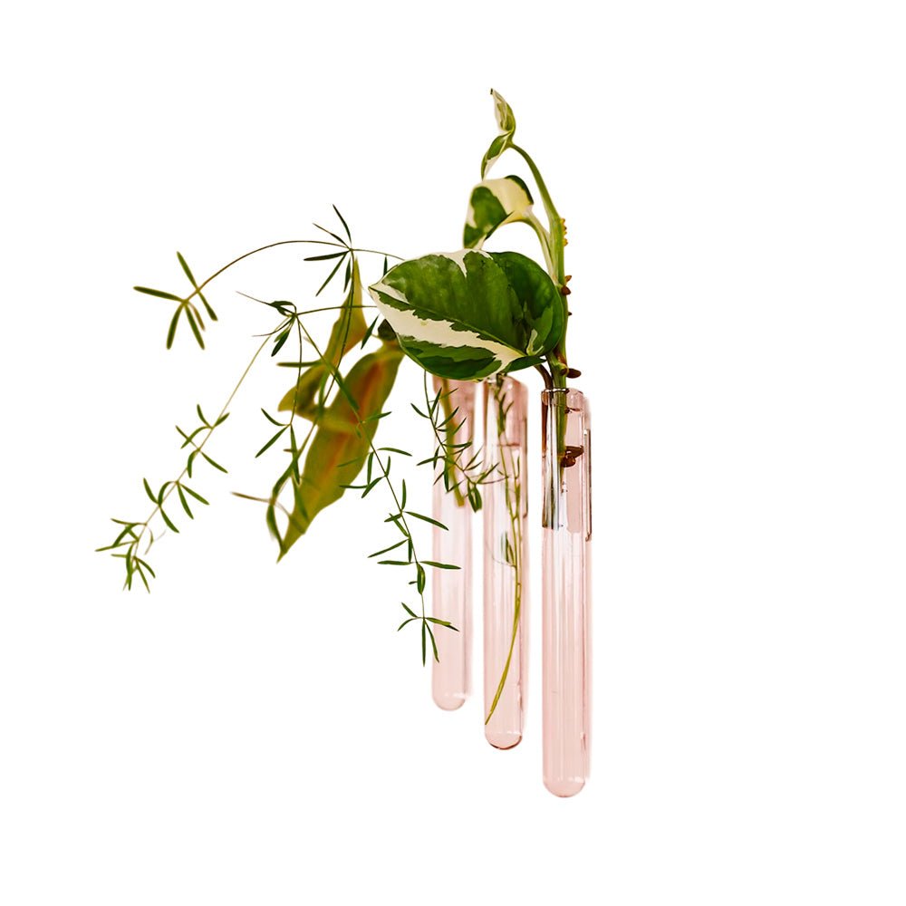 Walleaf Rosa (set de 3)