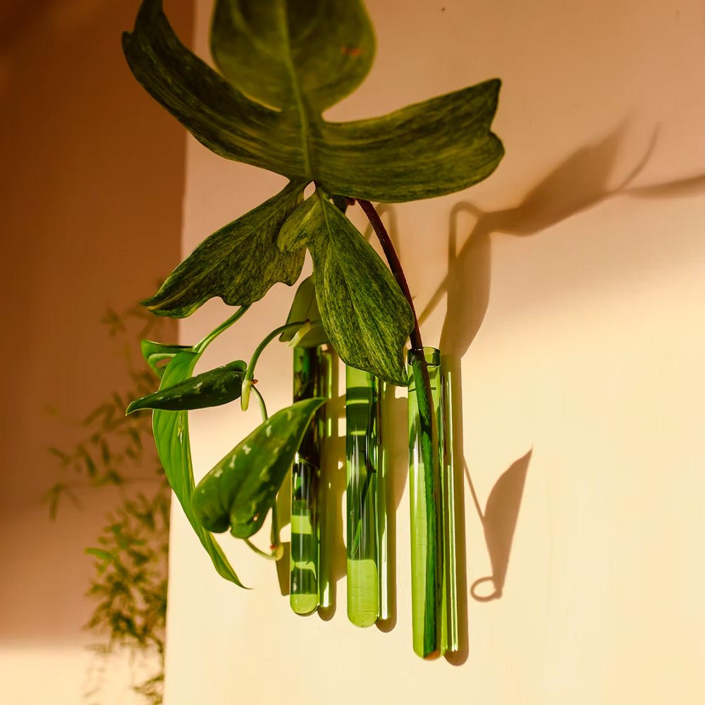 Walleaf Verde (set de 3)