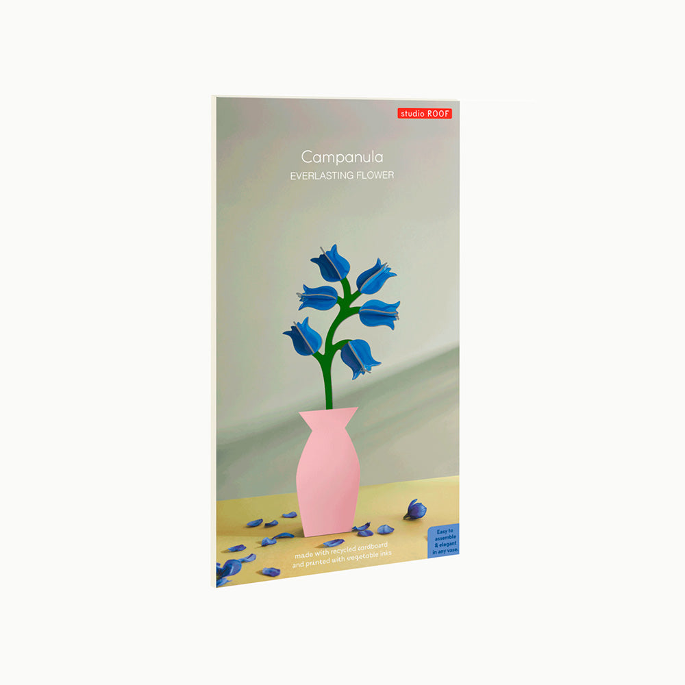 Everlasting Flowers - Campanula