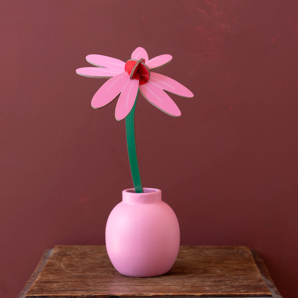 Small Everlasting Flowers - Pink Coneflower