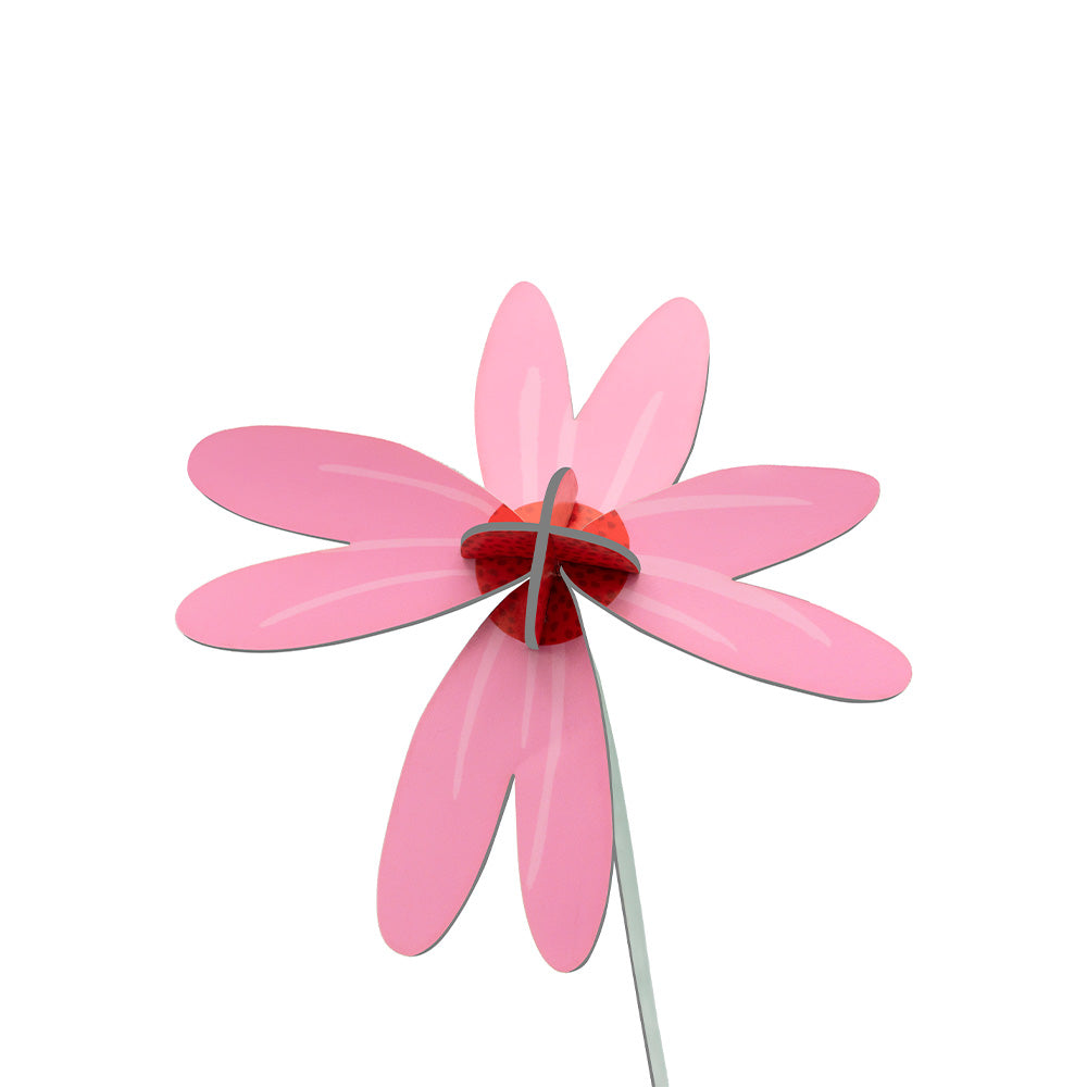 Small Everlasting Flowers - Pink Coneflower