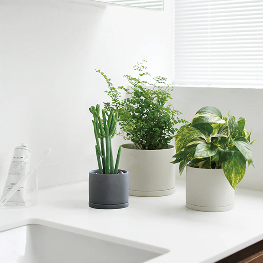 Plant Pot 191 - 135 x 115 mm Dark Gray