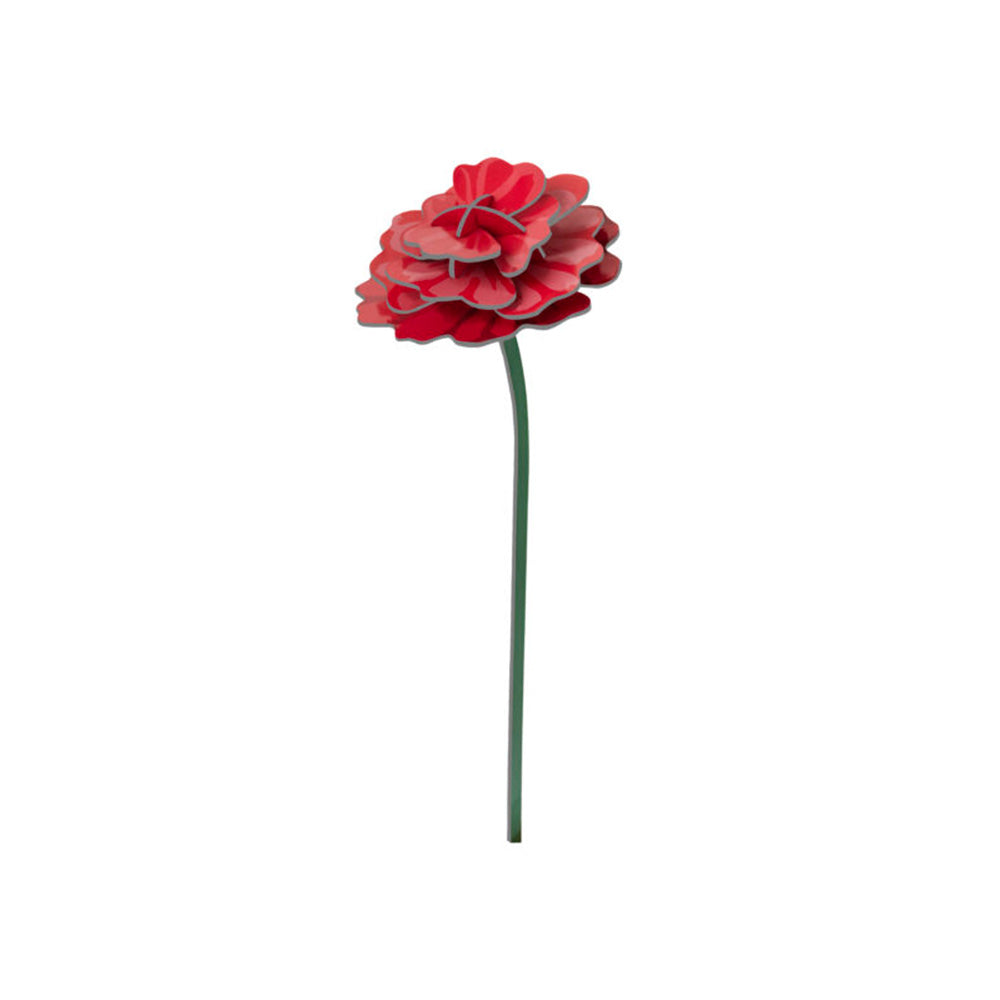 Everlasting Flowers - Rose