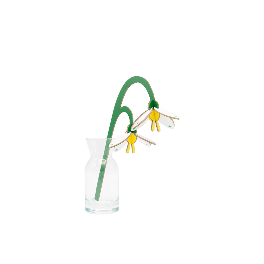 Small Everlasting Flowers - Spring Bells