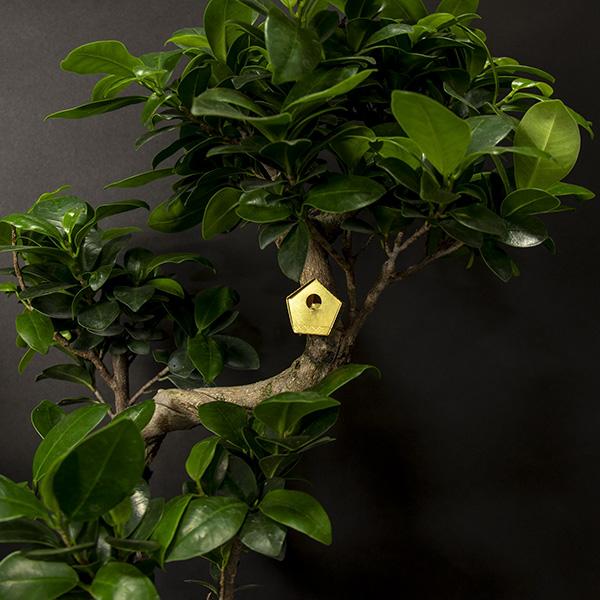 Tiny Birdhouse For Your Plants