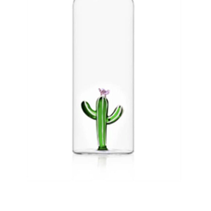 Bouteille avec plantes vertes du désert de cactus
