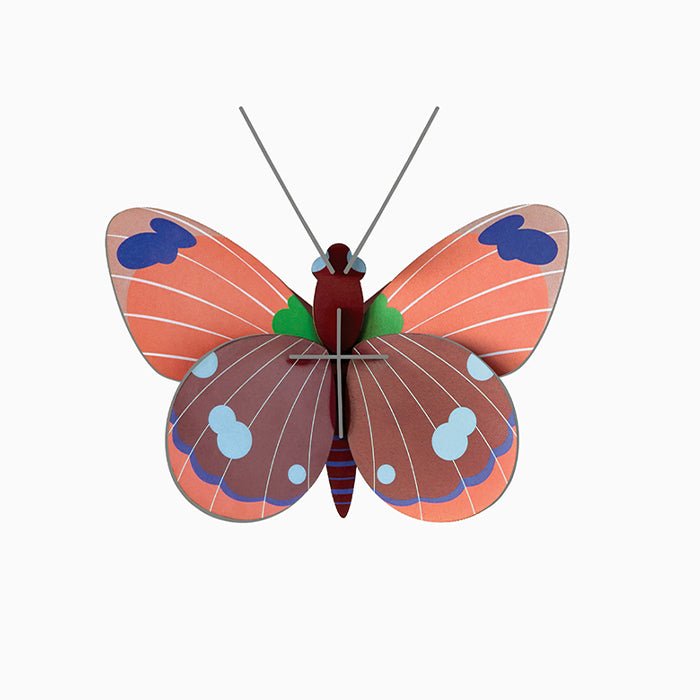 Papillon Délias