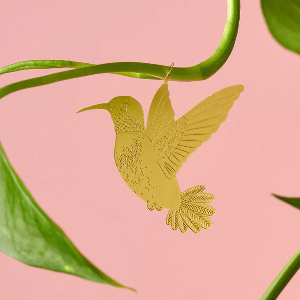 Colibri Plante Animal
