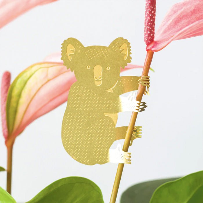Animal para Plantas Koala
